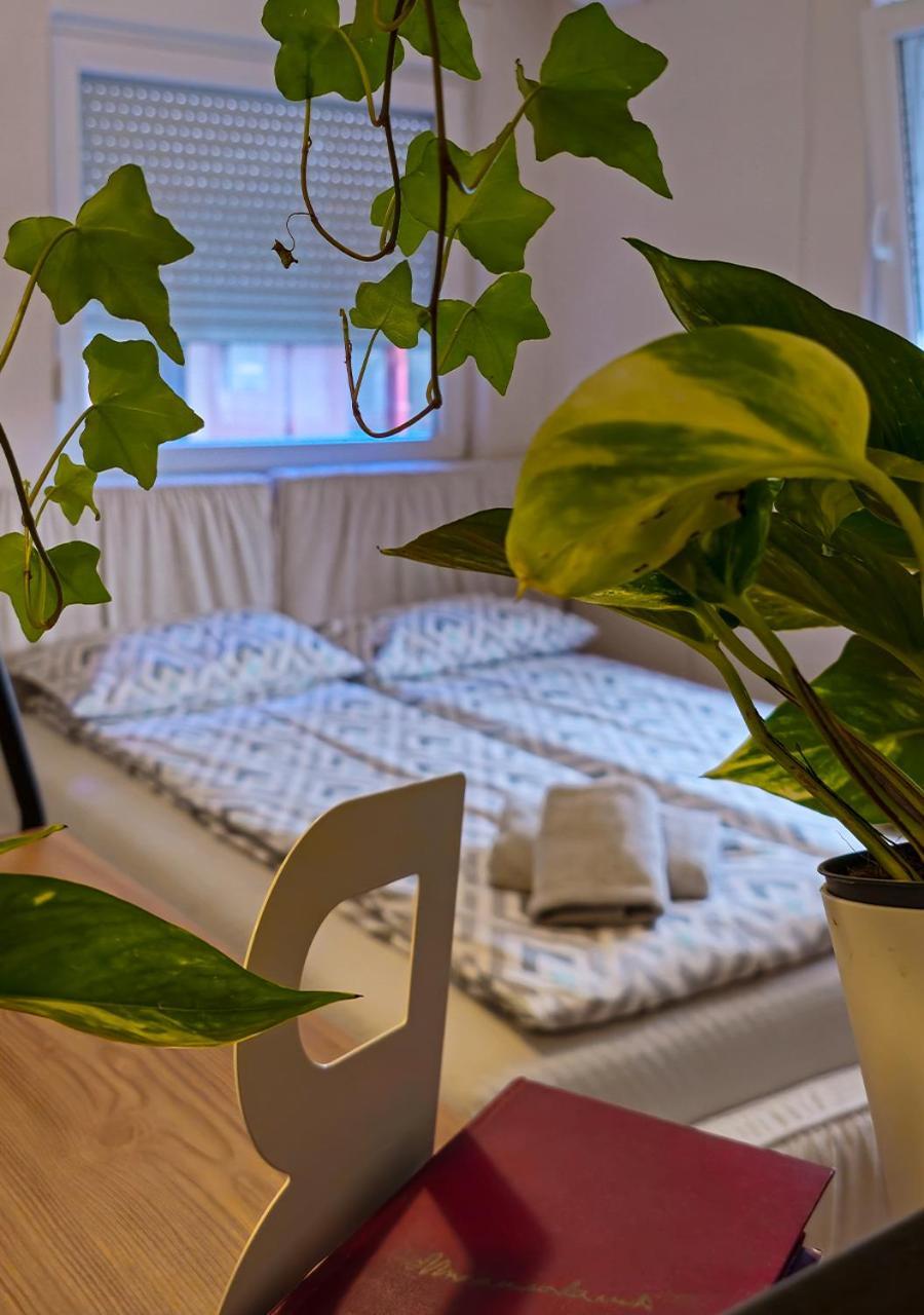 Apartmani 즈레냐닌 외부 사진